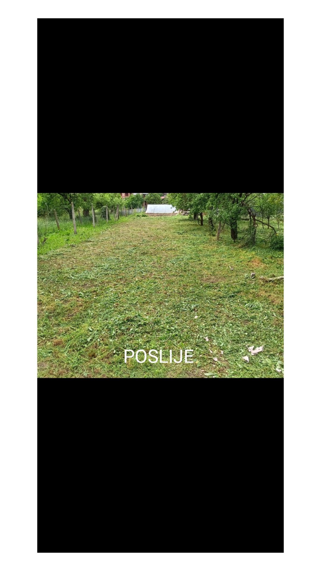 Slika travnjaka nakon košnje trave