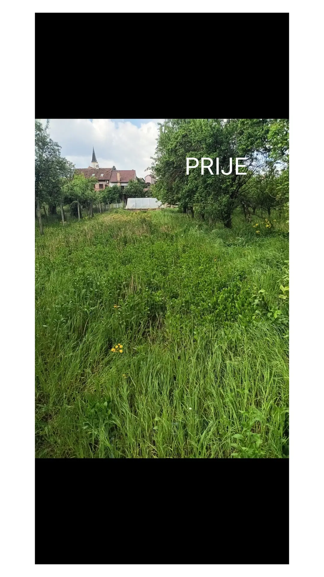 Slika travnjaka prije košnje trave