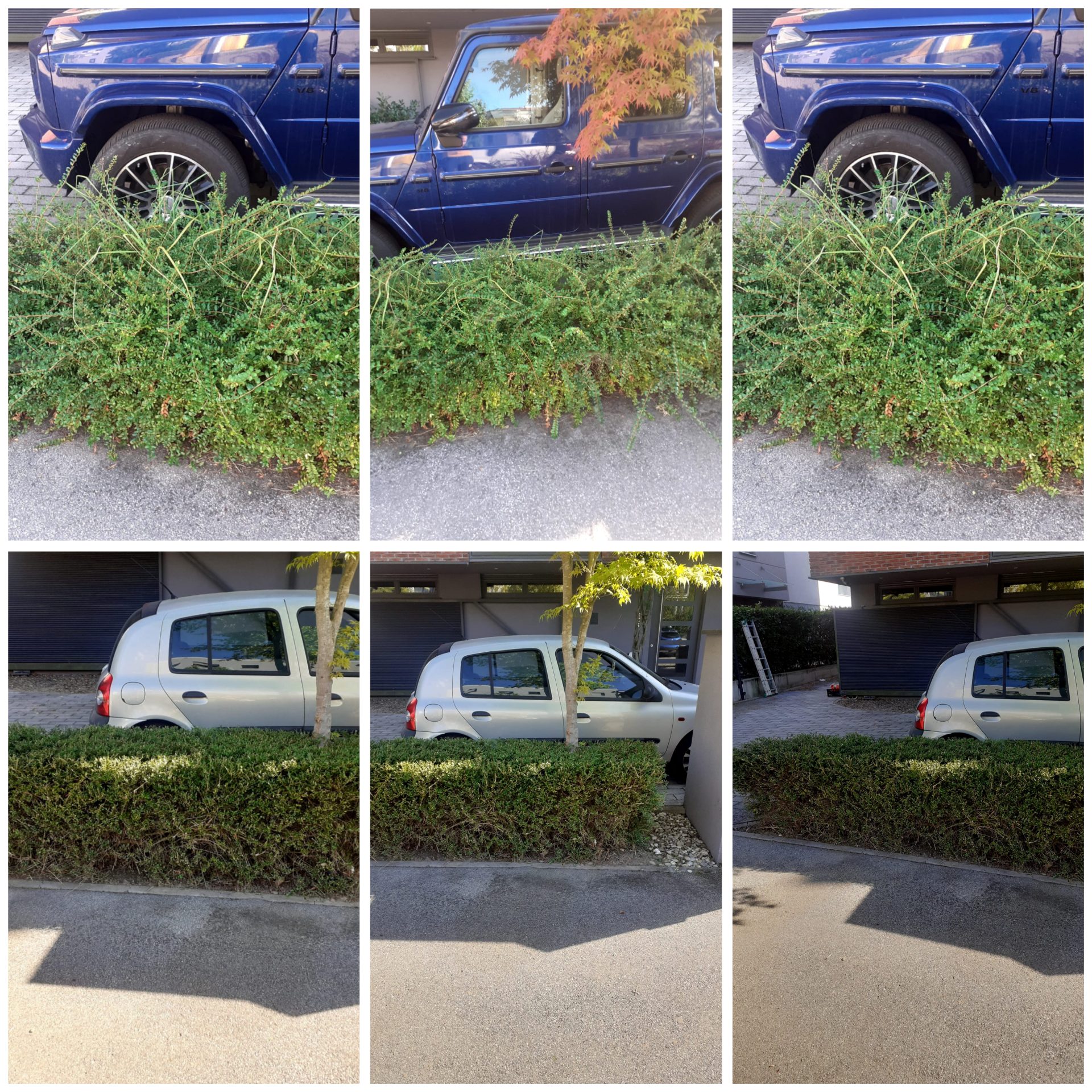 1735313181854 vrtlaris radovi jarun